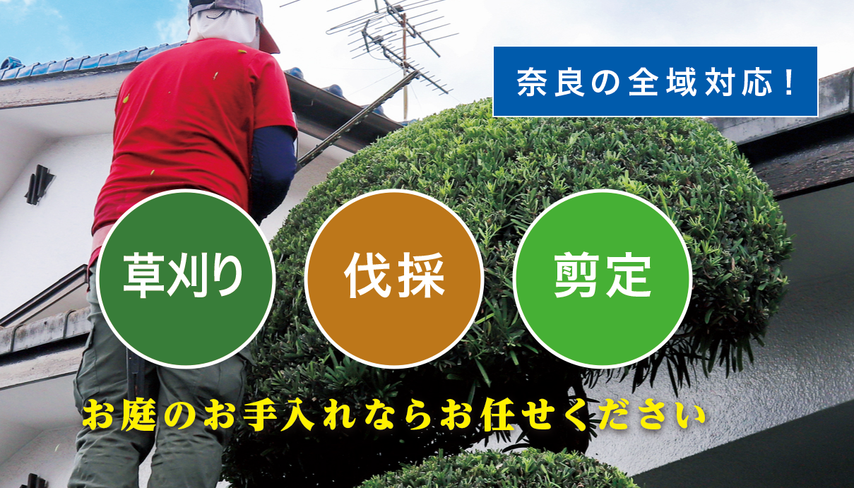 大淀町で草刈り・庭木剪定・伐採なら「お庭の大将」