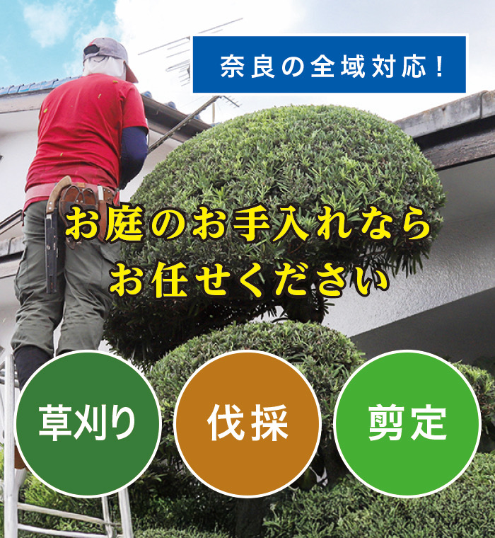 天川村で草刈り・庭木剪定・伐採なら「お庭の大将」 天川村で草刈り・庭木剪定・伐採なら「お庭の大将」