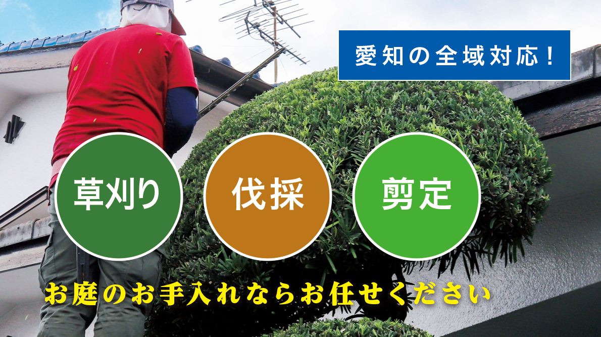 お庭の大将愛知店をオープンしました!
